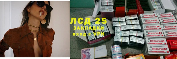 spice Бородино