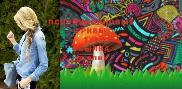 spice Бородино