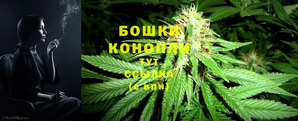 spice Бородино